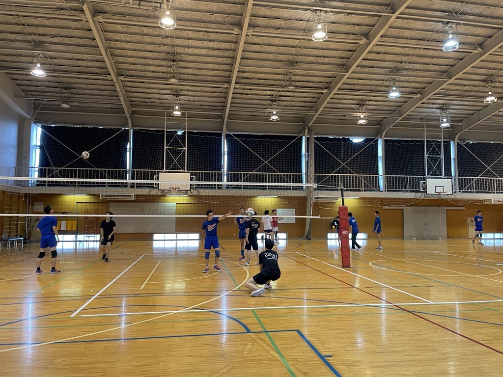 Image (1)
